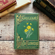 Familiar Wild Flowers Volume 2 by Edward Hulme Beautiful Antique Book
